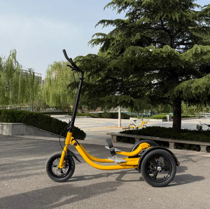 Step Bike