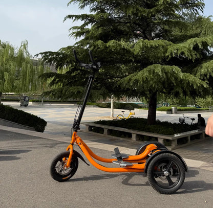 Step Bike