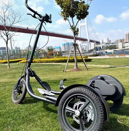 Step Bike